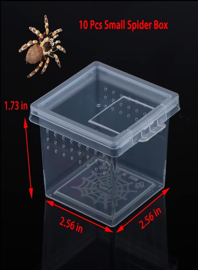 DQITJ 10 Pack Small Size Spider Terrariums Breeding Box Hatching Container Insect Scorpion Centipede Acrylic Breeding Box (with 10 Pcs Micro Water Bowl - Image 4